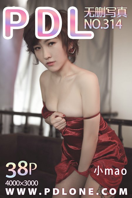 潘多拉性感写真Vol. 314