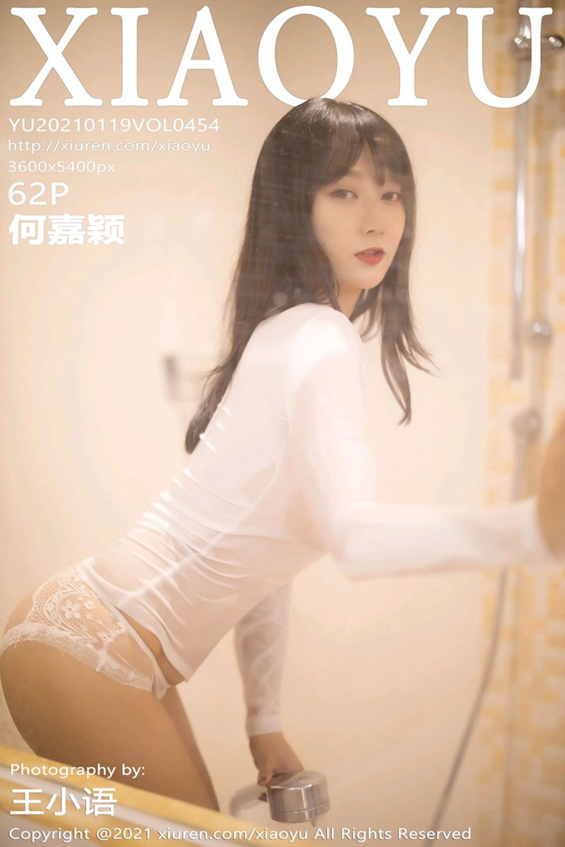 何嘉颖Vol. 0454