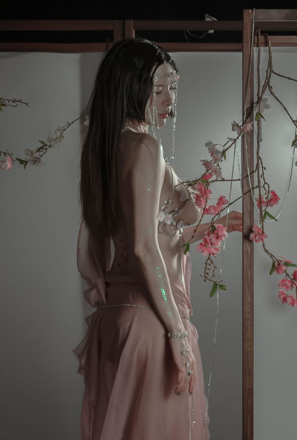 秋和柯基夏小秋秋秋