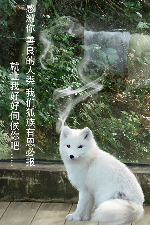 秀人女神尹甜甜化身知恩图报小妲已千娇百媚